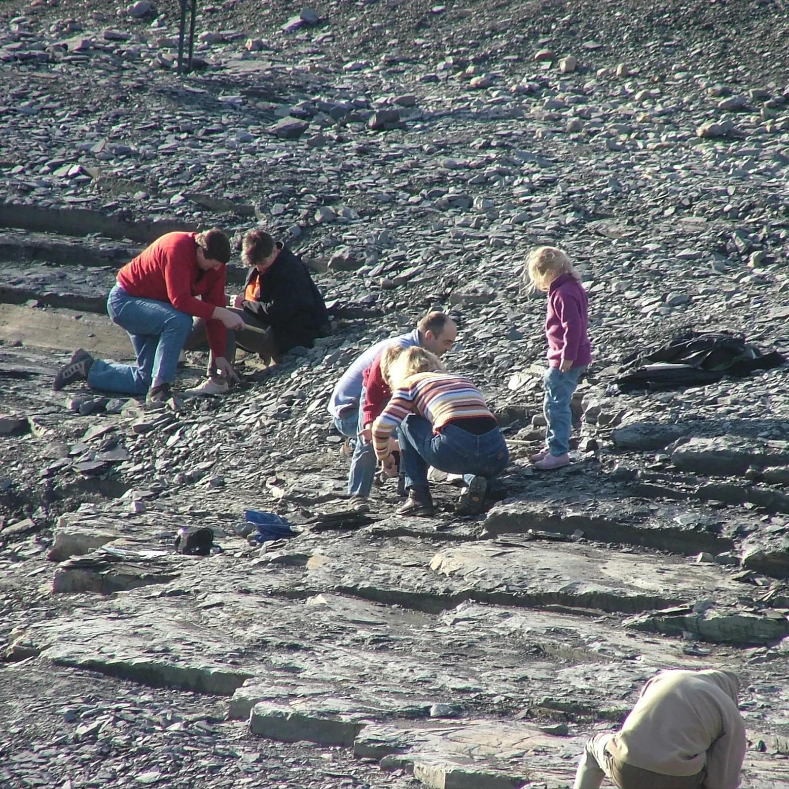 Familie sucht im Schieferbruch von Holzmaden nach Versteinerungen