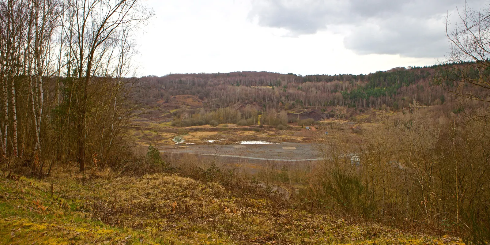 Blick über die bewachsene Grube Messel, UNESCO-Welterbe